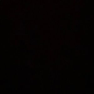 Meet your Posher, Rosa